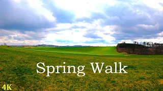 Walk Over Field | 4K | ASMR | Spring Walks | Nature Hike | Forest Trail | Pure Sound Of Walk | March