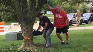 Tree Cutting Fail