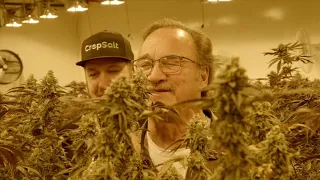 Qualcan Marijuana Grow Facility (Growing Belushi)