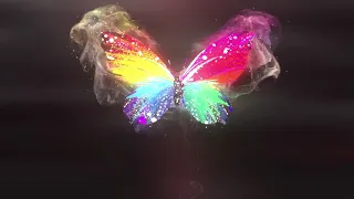 Выставка «Планета живых бабочек» в Новокузнецке
