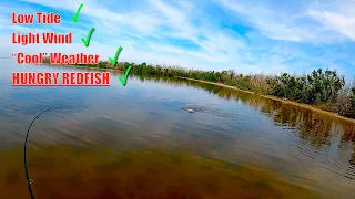 We Caught Over 30 Redfish In One Day! | Fishing Pine Island, Florida.