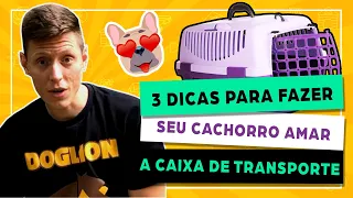 3 dicas para fazer seu cachorro amar a caixa de transporte