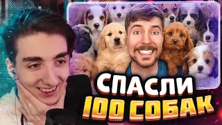 РЕАКЦИЯ РЕДФИДА НА: Я Спас 100 Брошенных Собак! | Мистер Бист