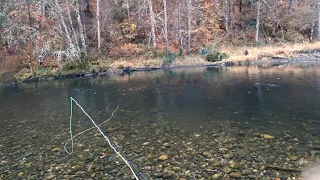 Trinity River Fishing