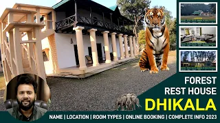 DHIKALA ZONE (FRH) COMPLETE DETAILS 2023 || JIM CORBETT NATIONALL PARK #jimcorbett #jimcorbett