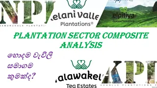 Plantation Sector Composite Analysis හොදම වැවිලි සමාගම කුමක්ද? | #SLEquityGuide 140 #Investment