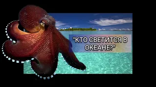 Мультфильм о добром китёнке и весёлом осьминожеке! Терапевтические сказки