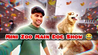Mini Zoo Main Dog Show Kia But 😂//Shehr Main Dihat Short Vlog