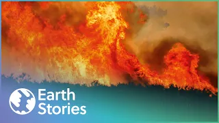 Tackling California's Extreme Firestorms | Stormrider | Earth Stories