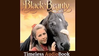 ○ (Full Audio-Book) Black Beauty By Anna Sewell ♡ A Timeless Spiritual Horse Lovers Classic