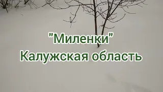 Зайцы в Родовых поселениях