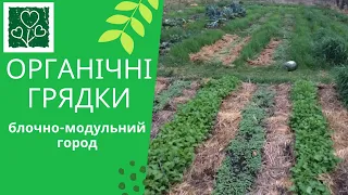 Органічна грядка. Блочно-модульний город