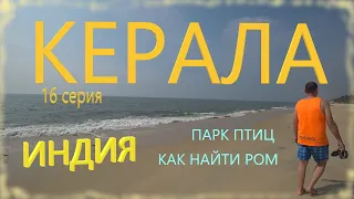 Индия. Керала. Парк птиц. Ром в Kerala. 16 серия