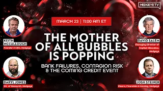 WEBCAST | THE MOTHER OF ALL BUBBLES IS POPPING: BANK FAILURES, CONTAGION RISK & COMING CREDIT EVENT