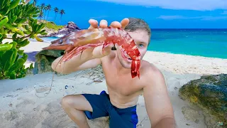 Giant King Shrimp Catch & Cook