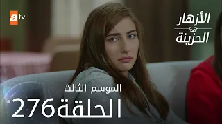 مسلسل الأزهار الحزينة | الحلقة 276 - الموسم الثالث