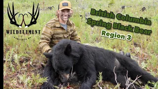 British Columbia Black Bear Hunt