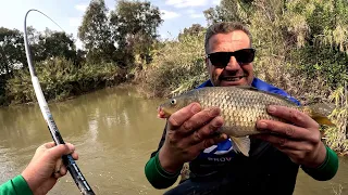 דיג-ליאור גכמן קלאסיקה של דיג בוס בנהר הירדן 🐠 קרפיונים, ארוכות ראש, ומקל חדש ואיכותי שנותן בראש!!