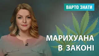 Легалізація медичного канабісу в Україні: вся правда, Варто знати