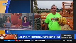 Cal Poly Pomona Pumpkin Fest