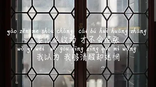 【定格-周思涵】DING GE-ZHOU SI HAN /TIKTOK,抖音,틱톡/Pinyin Lyrics, 拼音歌词,병음가사/No AD, 无广告,광고없음