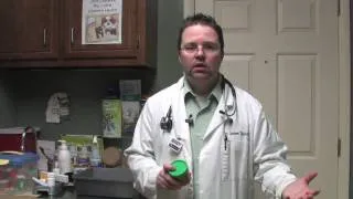 Dog & Cat Diseases : Diarrhea Remedy for Dogs