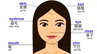 Learn Body and Face Names in English and Chinese | 身體和臉部圖解 | 中英文