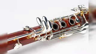 Instrumentala Clarinet Bulgaria Style 2023  🔝#relaxing #instrumental #clarinet #relaxingmusic #2023