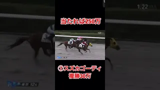 【競馬】【神回？】全財産30万円を超穴馬にぶち込んだ。当たれば250万の高額的中....人生賭けて勝負しました#short