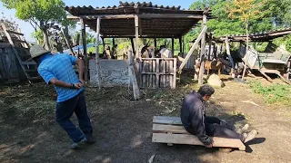 "Sus 2 amiguitos ya muerier0n el quedó vivo"|Tía Eulalia.