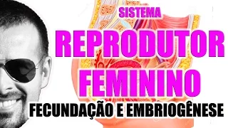Embriologia: Fecundação, nidação e formação do embrião - Sistema Reprodutor Feminino - VideoAula 052