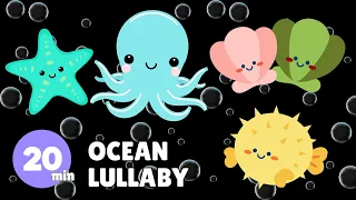 OCEAN LULLABY SOFT HIGH CONTRAST SOOTHING BABY SENSORY [NEW 4K]