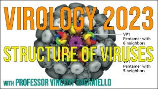 Virology Lectures 2023 #4: Structure of viruses