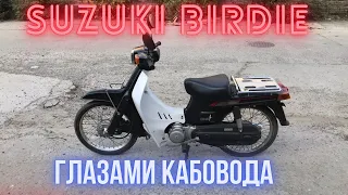 Suzuki Birdie глазами Владельца Honda Super Cub (Хонда Супер Каб )!