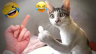 Hilarious Cats and Dogs 🐕🐈 Funniest Animals 2024 😍