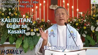 Fr. Ciano Ubod Homily - Ngano nga ang Kalibutan gitawag nga usa ka Dapit sa Kasakit?