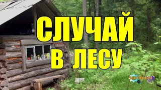 СЛУЧАЙ В ЛЕСУ | ТАЙГА