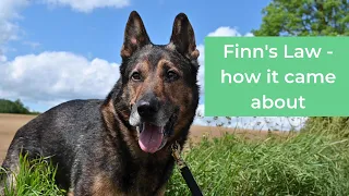 Story behind Finn's Law