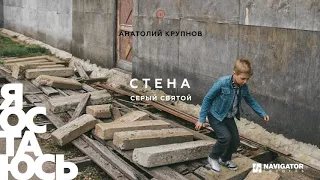 Анатолий Крупнов - Серый святой (Аудио)