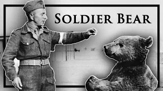 The Bear Who Became A Cigarette Smoking, Beer Drinking WWII Hero...