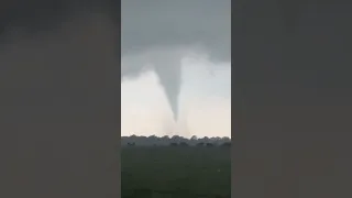 Tornado touches down near a cow pasture in Clay County, Texas