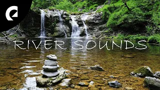 20 Minutes of Relaxing River Sounds - Flowing Water and Forest Creek Ambience 🏞️