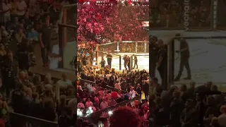 Leon “Rocky” Edwards walkout ufc 278 from the crowd