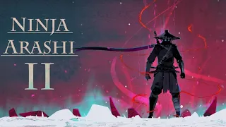 Ninja Arashi-2 level 5