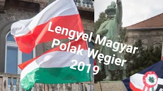 Polsko Węgierska przyjaźń i braterstwo 🇭🇺🤝🇵🇱