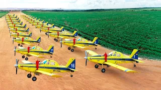 QUEM É O FAZENDEIRO DONO DA MAIOR FROTA DE AVIÃO AGRÍCOLA DO BRASIL?