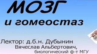 Вячеслав Дубынин - Мозг и гемеостаз