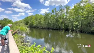 GAME-CHANGER: What you may not be able to do inside Big Cypress Nat'l Preserve