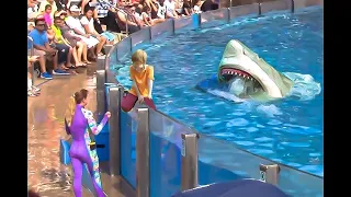 Chica cae en el tanque de tiburones y luego... 😨