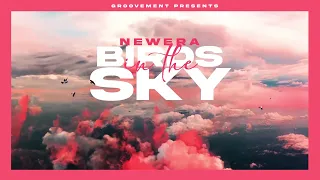NewEra - Birds In The Sky
